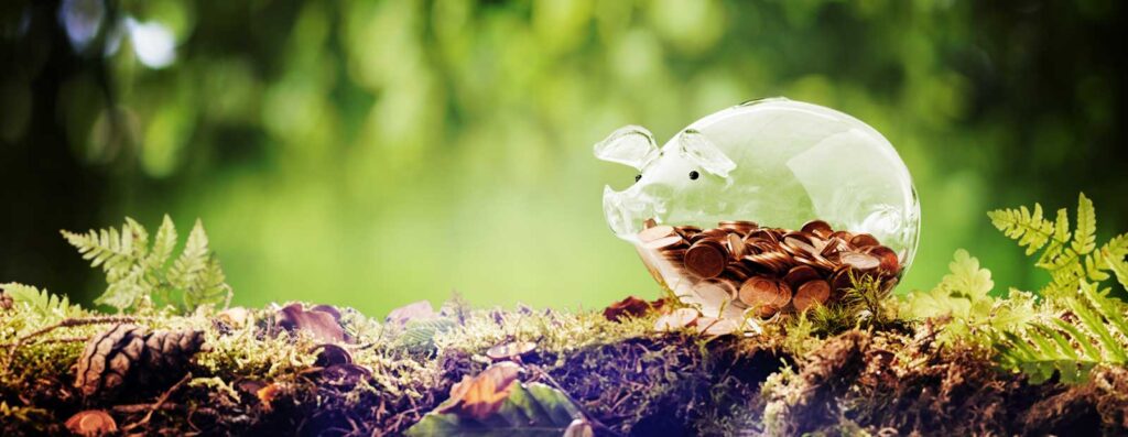 Förderung Sparschwein